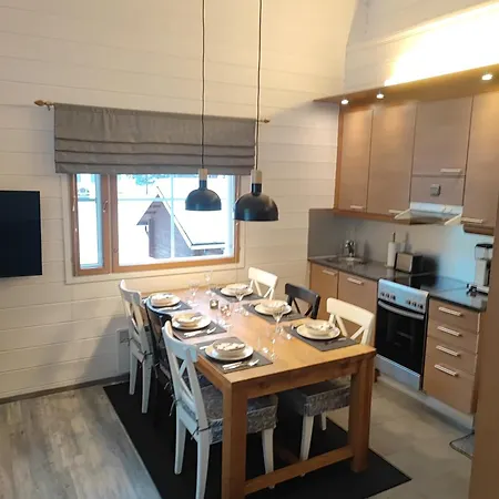 公寓 Levin Ykkoespaikka A8 *